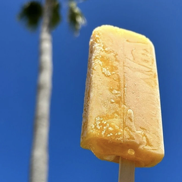 Paletas avec motif palmier